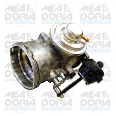 EGR Valve